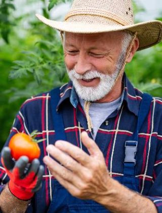 httpselements.envato.comhappy-and-smiling-senior-man-working-in-greenhouse-3XPUMQZ.jpg